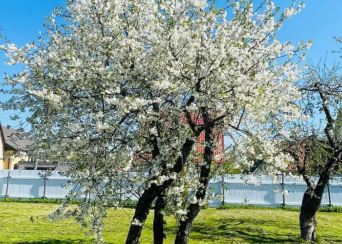 Blue Heaven Villa Pärnu