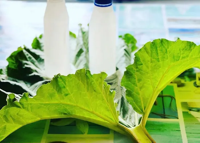 Villa Blue Heaven Pärnu