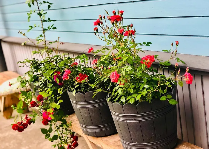 Blue Heaven * Pärnu