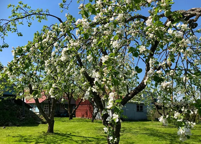 Blue Heaven Villa Pärnu