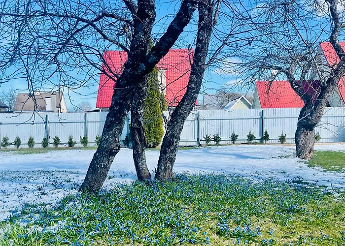 Blue Heaven * Pärnu